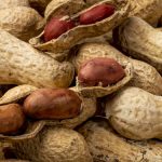 propiedades del mani con cascara campo grande peru lima y provincias