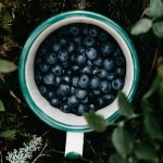 recetas con pasas de arandanos campo grande peru lima y provincias