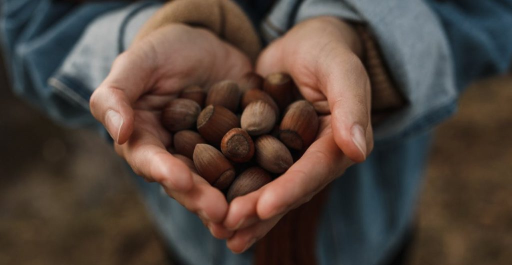rejitas con crema de avellanas campo grande