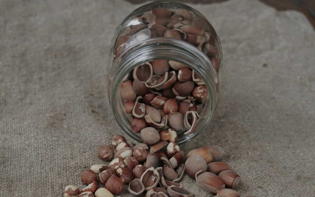 sophia glushko bjrs2Jb17Y unsplash min