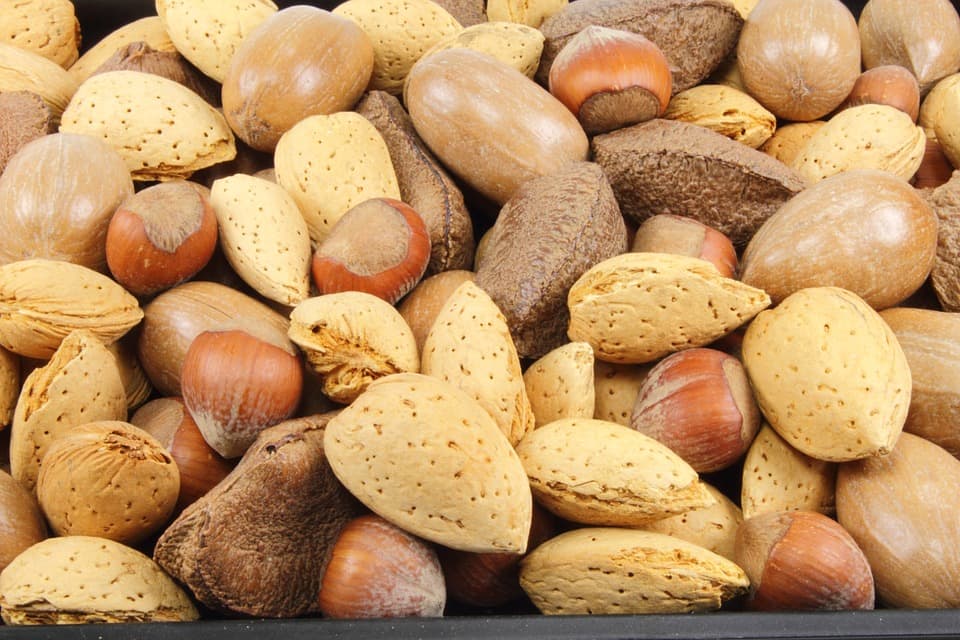 tipos de almendras 1