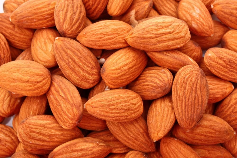 tipos de almendras 3