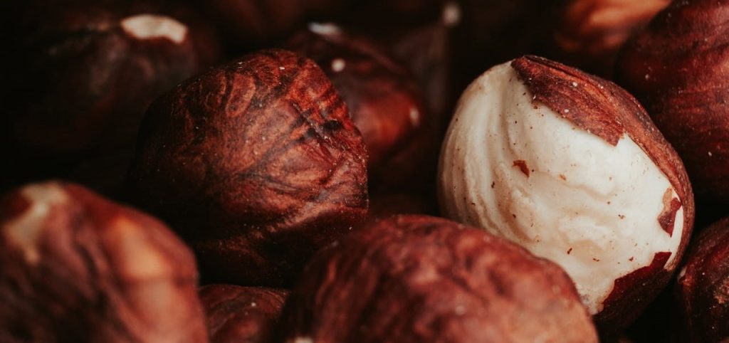 tipos de avellanas campo grande