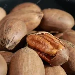 variedades de pecanas campo grande peru lima y provincias