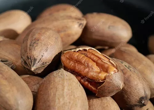 variedades de pecanas campo grande peru lima y provincias