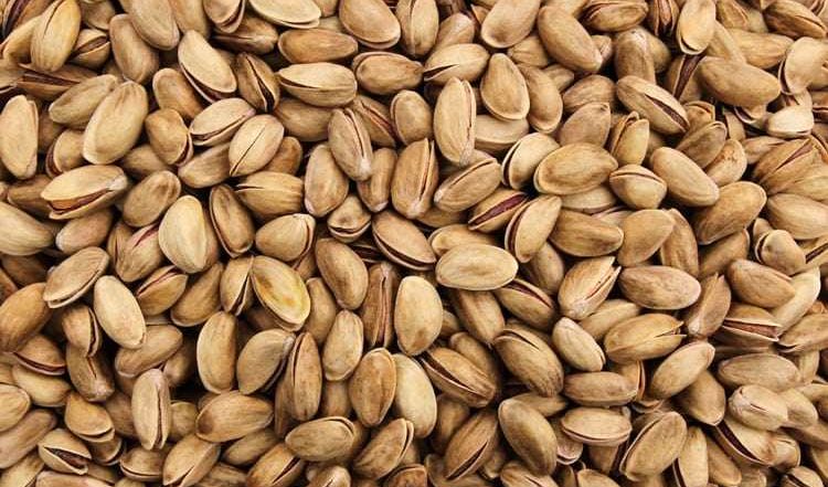 variedades de pistachos campo grande peru lima y provincias