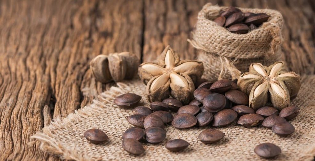 Sacha Inchi ADEX prensa2 min