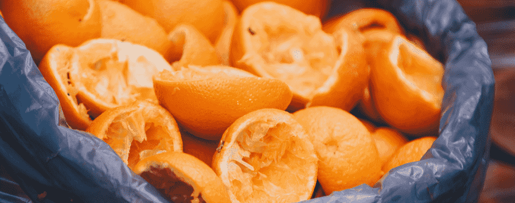 abono con cáscaras de naranja campo grande peru lima y provincias