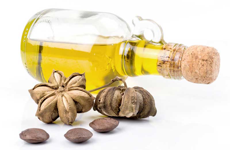 aceite de sacha inchi para las estrias campo grande peru lima y provincias