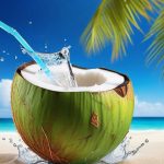 agua de coco campo grande peru lima y provincias