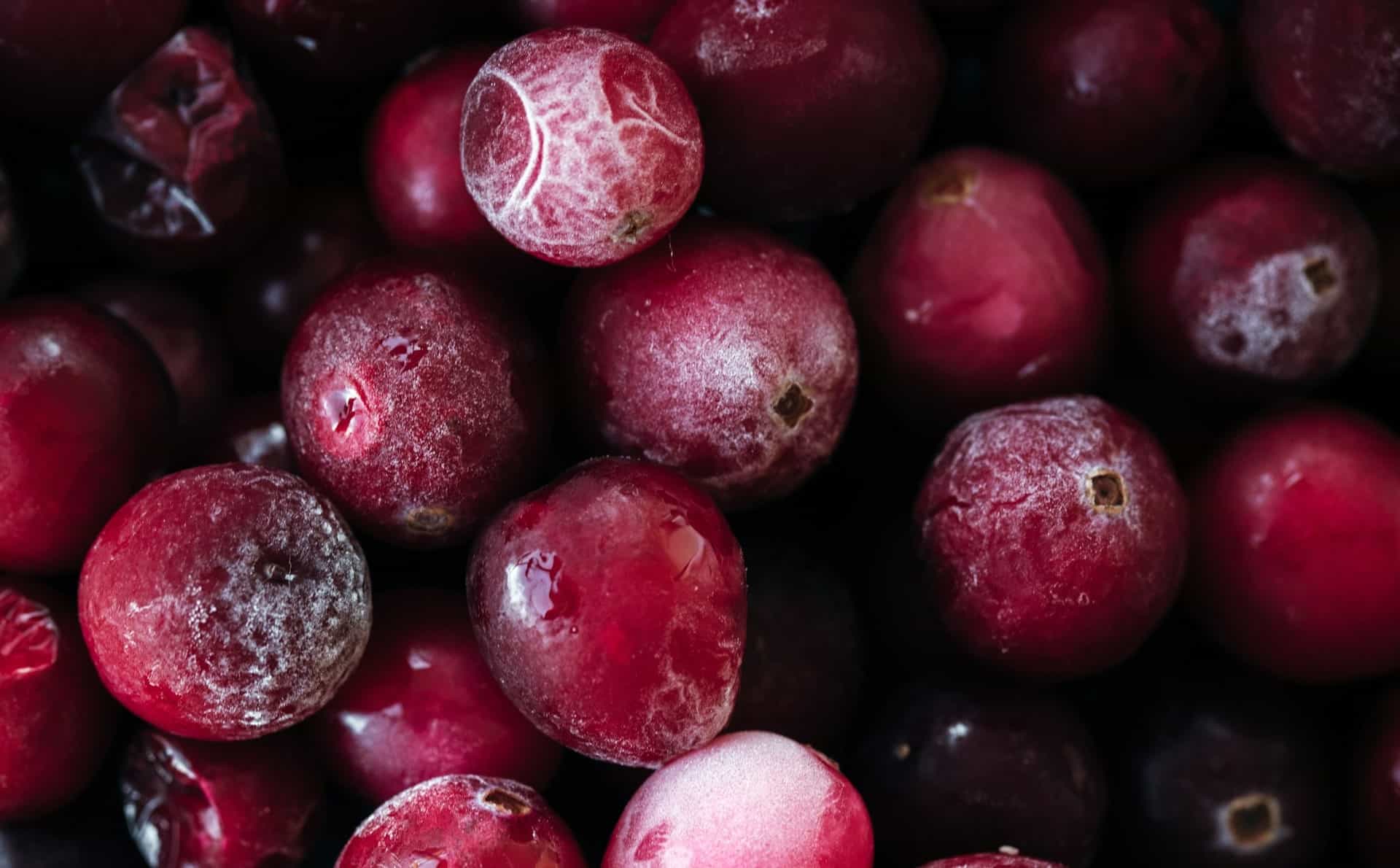 arandanos rojos en el embarazo campo grande peru lima y provincias