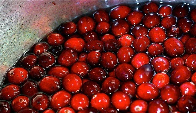 beneficios del arandano rojo 3
