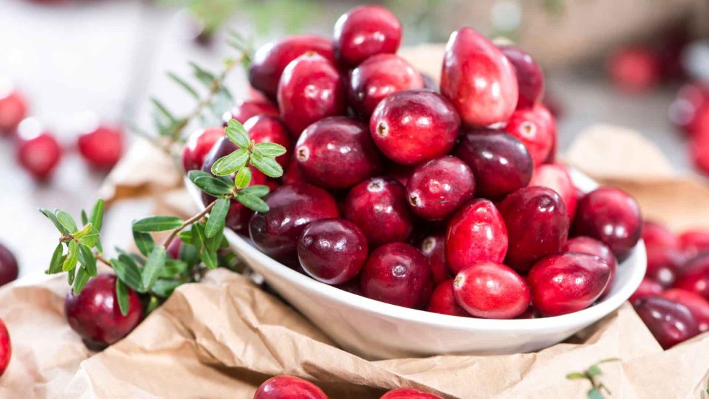 beneficios del arandano rojo min
