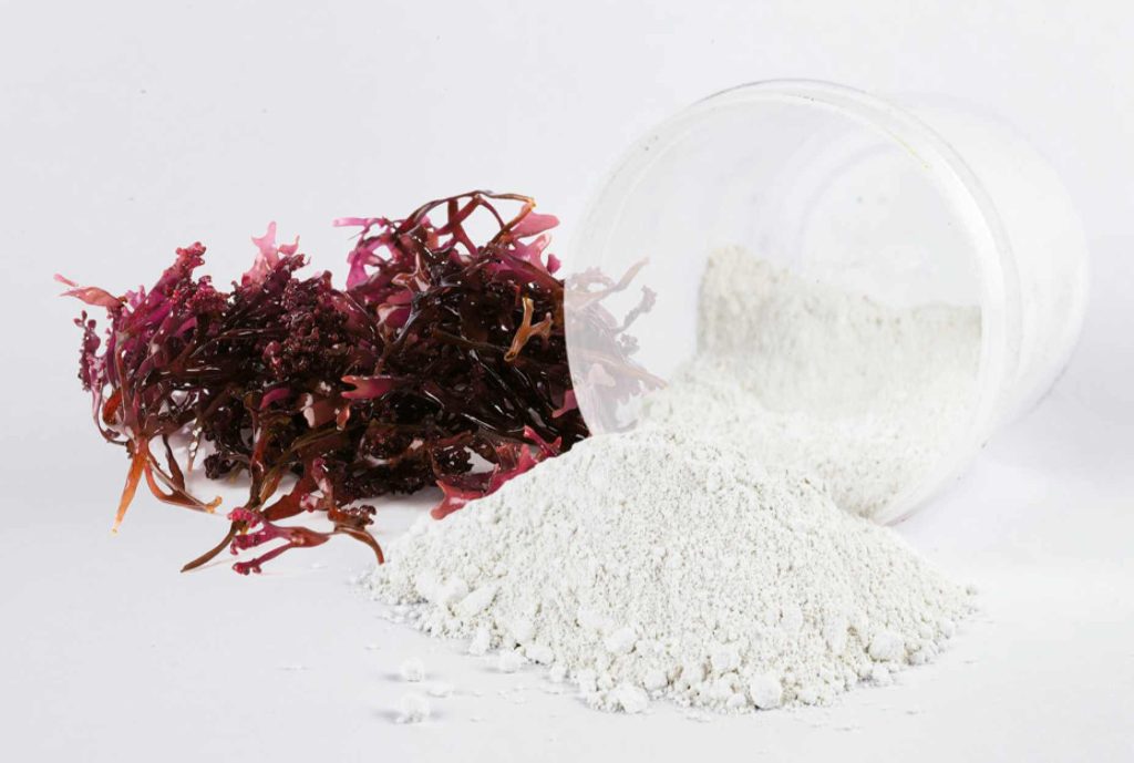 carragenina o agar agar muestra compressed