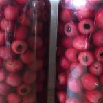 beneficios de las cerezas encurtidas campo grande peru lima y provincias