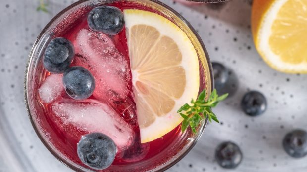 coctail con arandanos 2