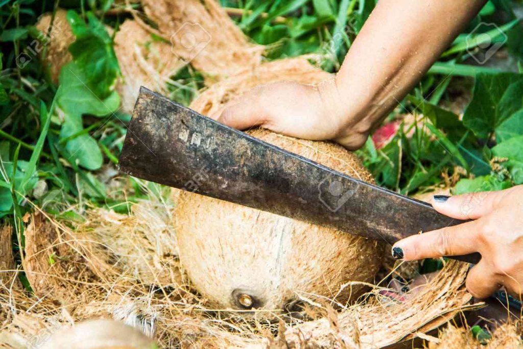 como pelar un coco 1 compressed