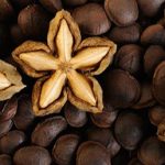 como tomar el aceite sacha inchi campo grande peru lima y provincias