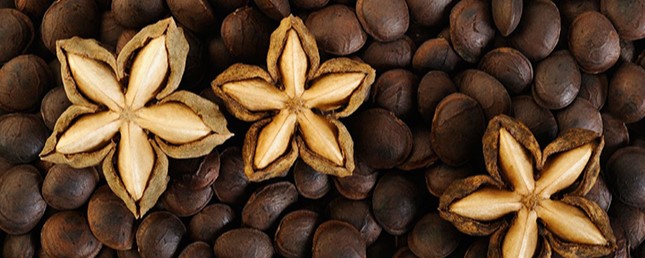 como tomar el aceite sacha inchi campo grande peru lima y provincias