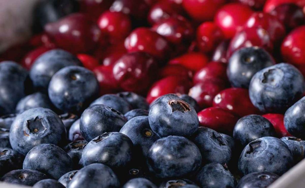 diferencias entre los arandanos azules y rojos 1