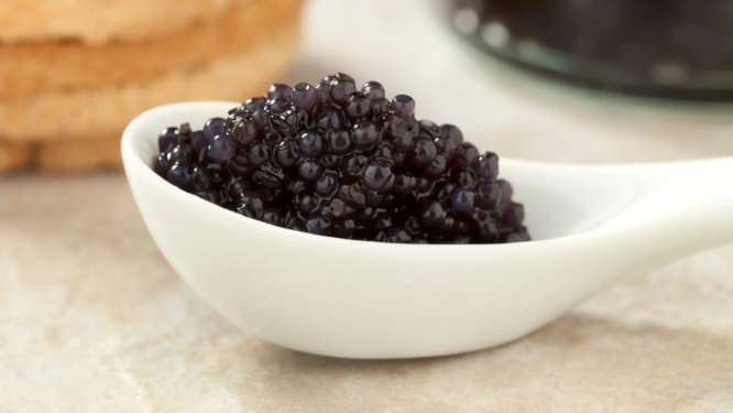 falso caviar agar ejemplo compressed