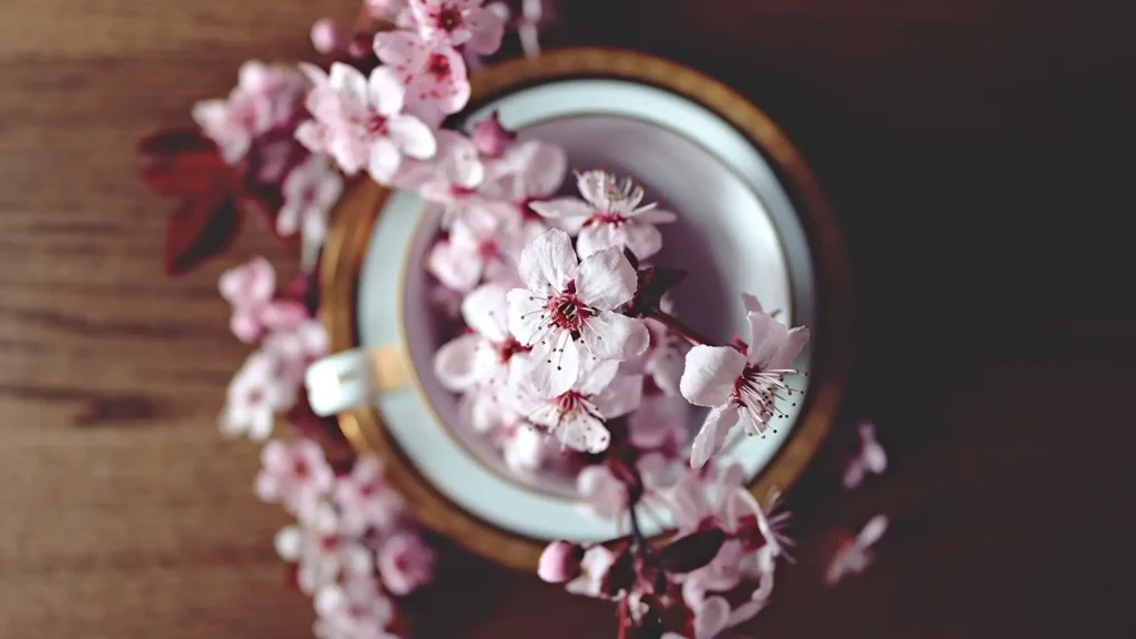 flor de cerezo 1