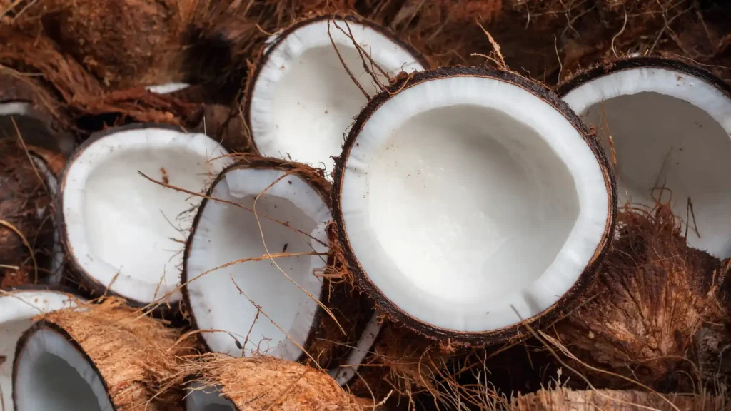 helado de coco 1
