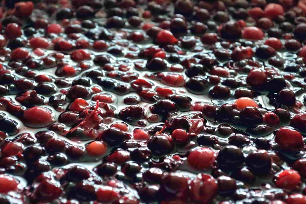 macerado de cereza 1