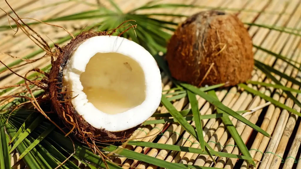 marciano de coco