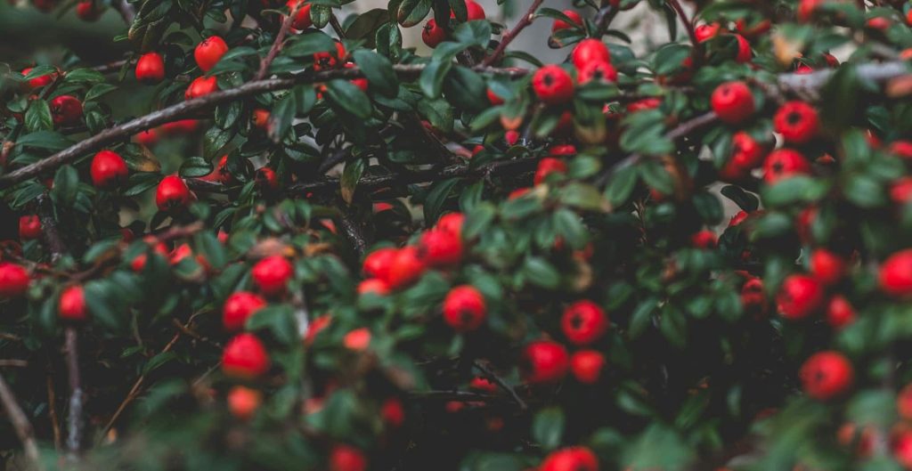matt seymour jWIvKQLtzb0 unsplash min