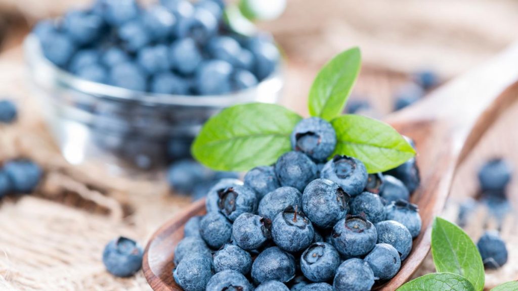 mermelada de arandanos para diabeticos