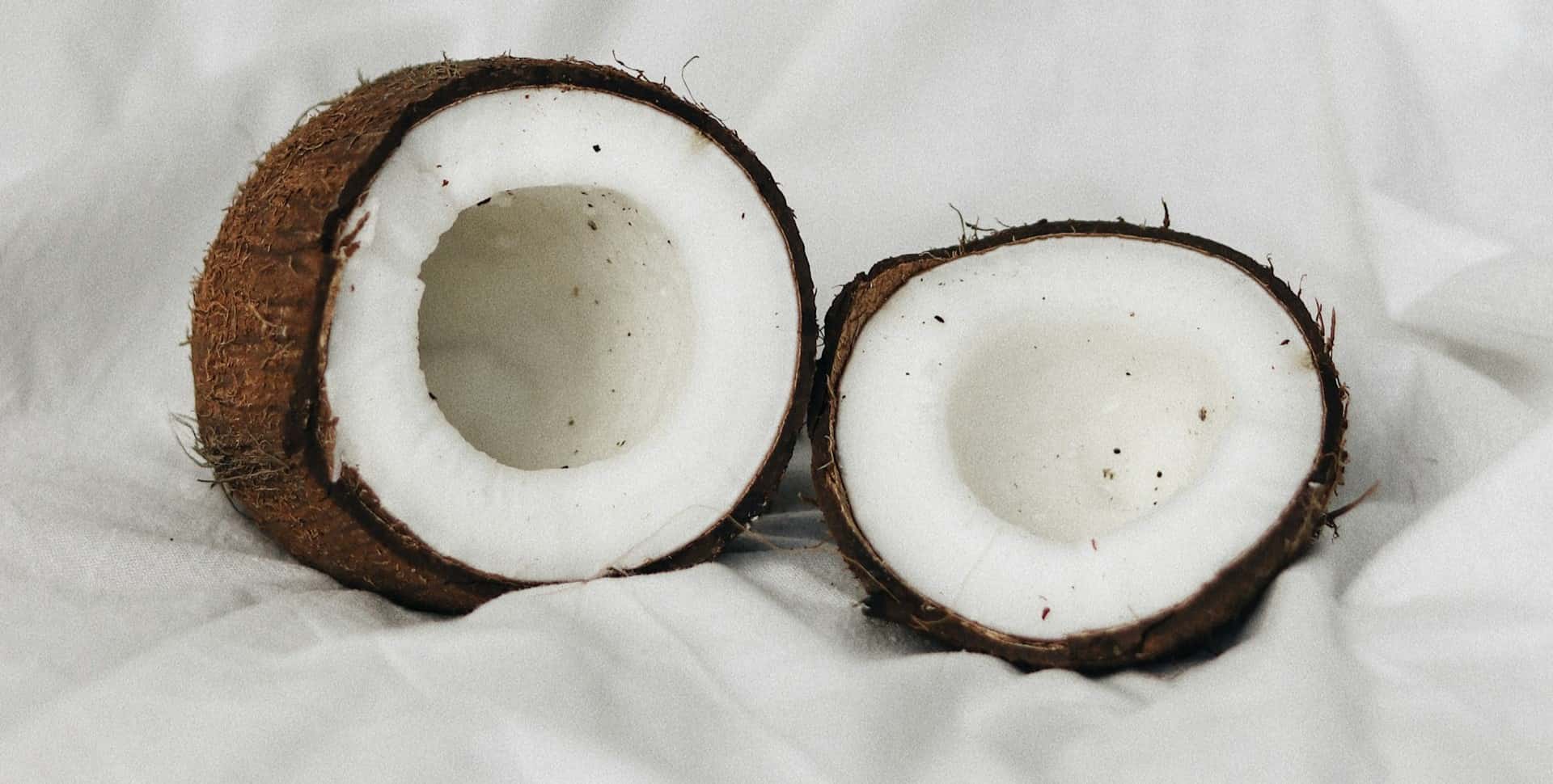 recetas con harina de coco campo grande peru lima y provincias