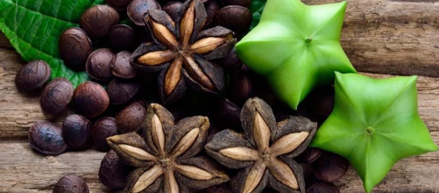 sacha inchi nut of million benefits