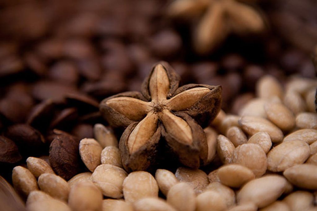 sacha inchi tostado campo grande peru lima y provincias