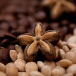 sacha inchi tostado campo grande peru lima y provincias