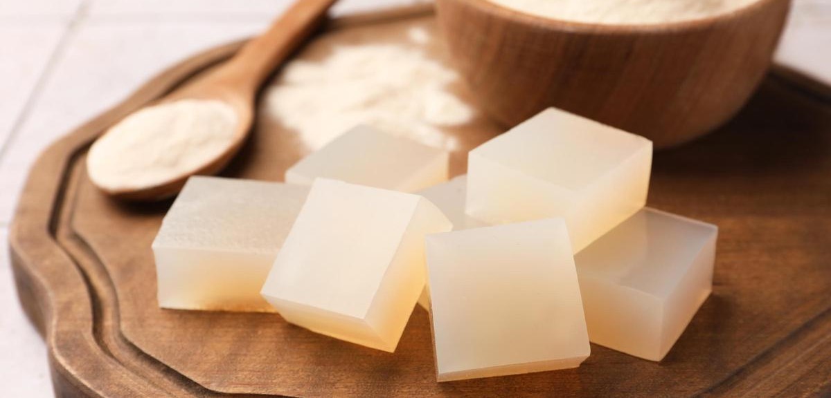 sustitutos del agar agar campo grande peru lima y provincias
