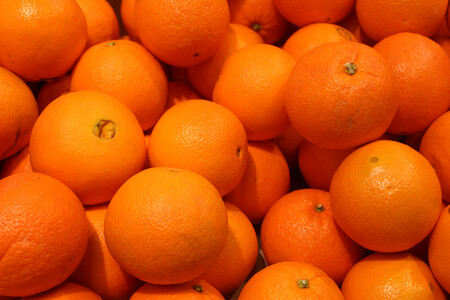 tipos de naranja campo grande peru lima y provincias