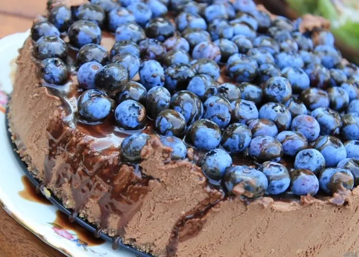 torta de arandanos y chocolate