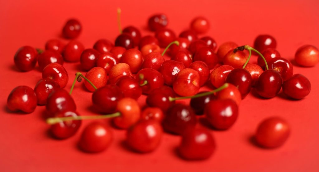 variedades de cerezas campo grande peru lima y provincias