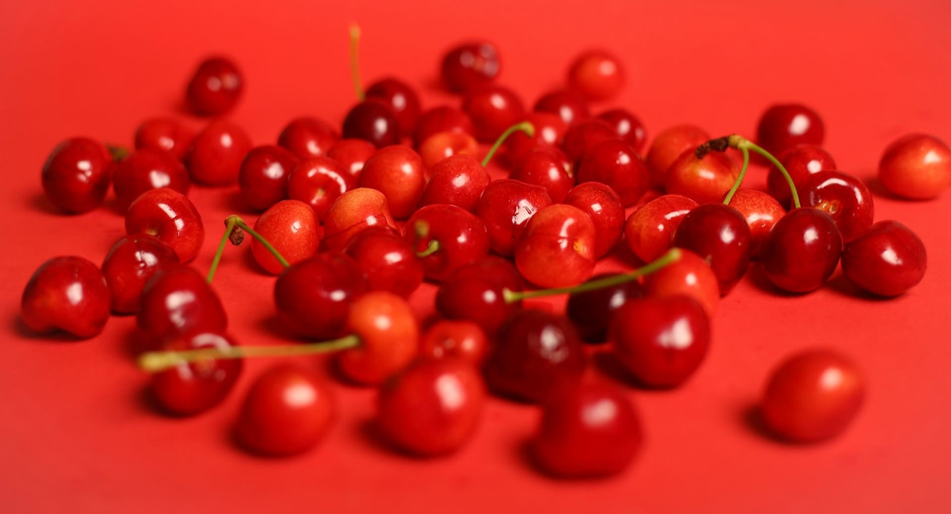 variedades de cerezas campo grande peru lima y provincias
