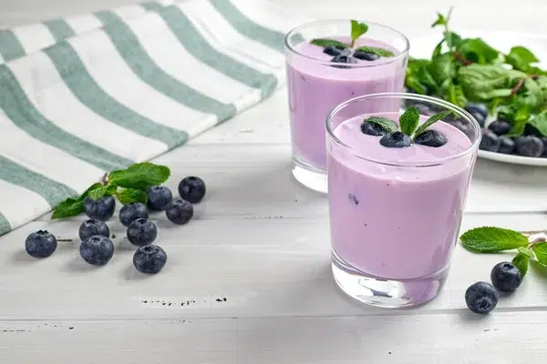 yogurt de arandano campo grande peru lima y provincias