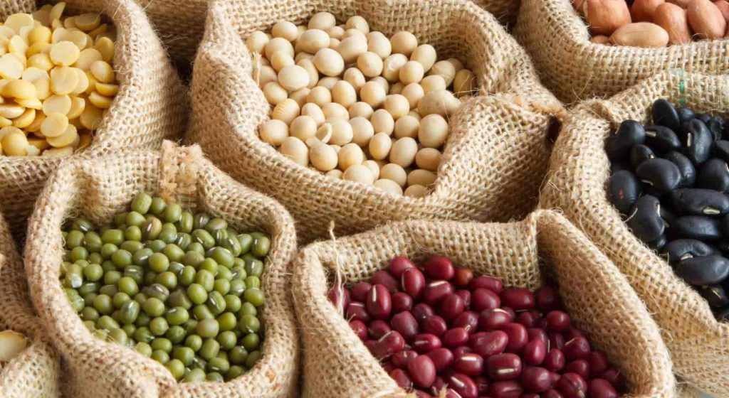 Dry Beans Photo 649EC753B32BE min