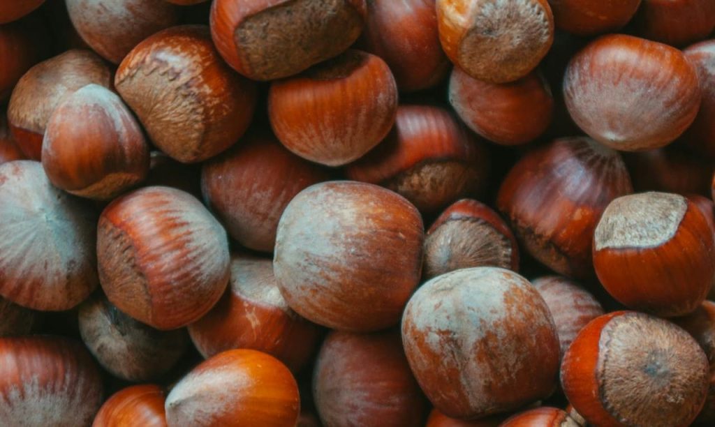 beneficios de las frutas deshidratadas