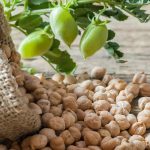 aprovecha los beneficios del garbanzo con campo grande peru lima y provincias