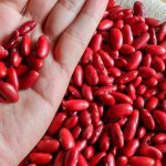 beneficios del frijol rojo campo grande peru lima y provincias