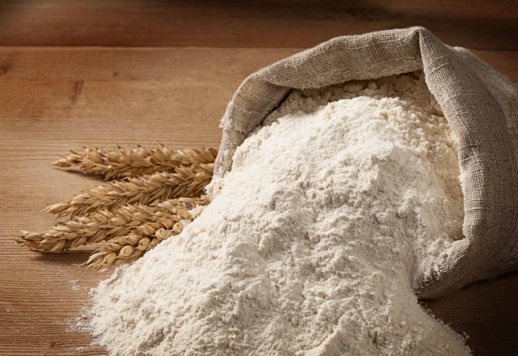 harina de avena para perros