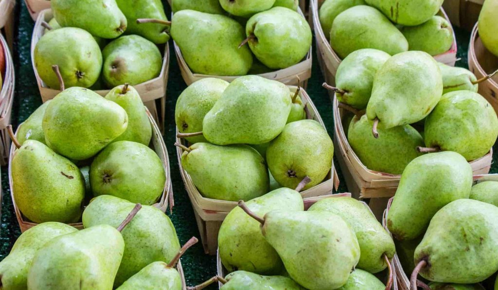 jonathan mast RW6Wz9QaoKk unsplash min