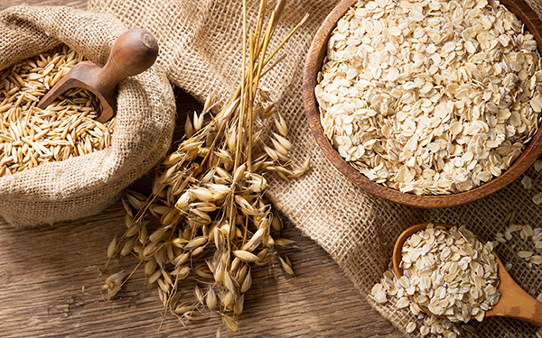 planta de avena 1