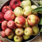 tipos de manzanas campo grande peru lima y provincias