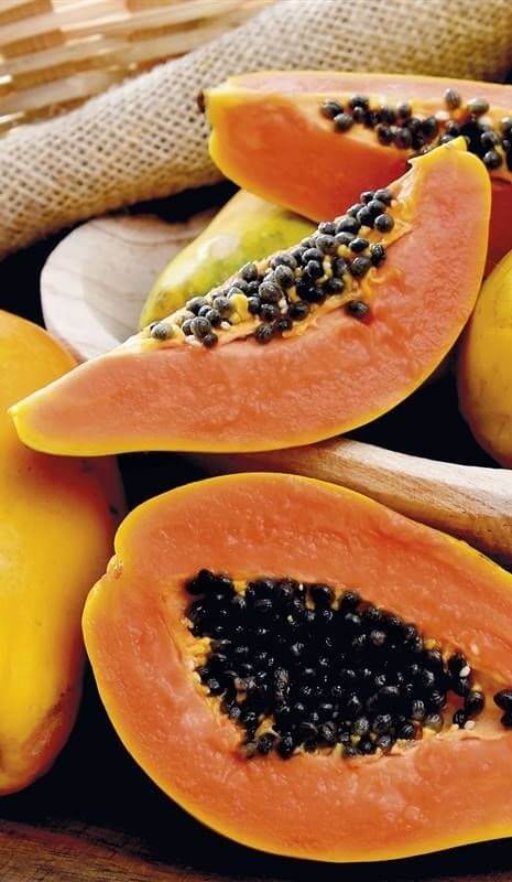 compra-y-venta-de-papaya-deshidratada.jpg
29 de octubre de 2024
48 KB
465 por 800 píxeles